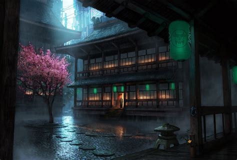 Rain Building Cherry Blossom The Secret World Wallpapers Hd