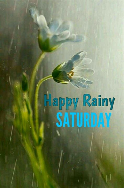 Pin By Gopesh Avasthi On Days Of Week Saturday Quotes Rainy Saturday
