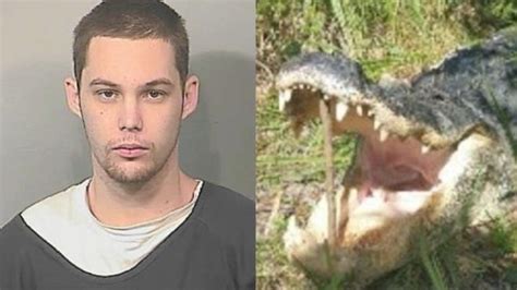 Alligator Kills Florida Burglary Suspect Hiding From Cops
