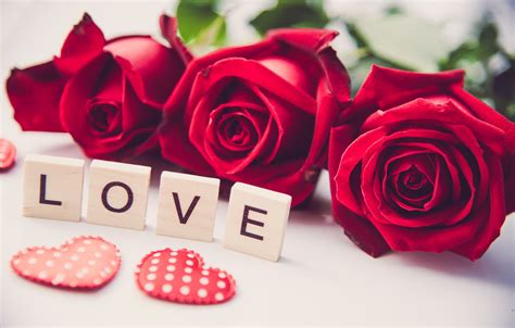 Rose Wallpaper Images Of Love I Love U Red Rose Wallpaper Download