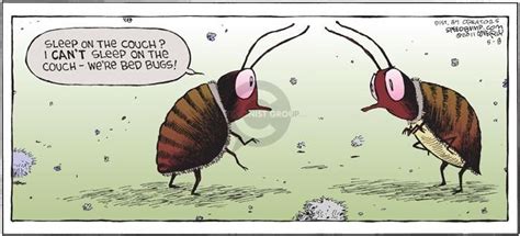 Image Result For Insect Humor Cartoons I Cant Sleep Humor Cartoon