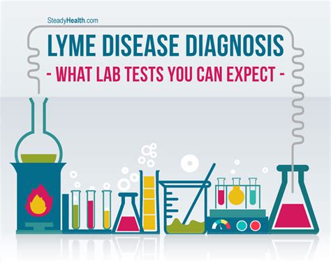 Lyme Disease Diagnosis: What Lab Tests You Can Expect | Nervous System