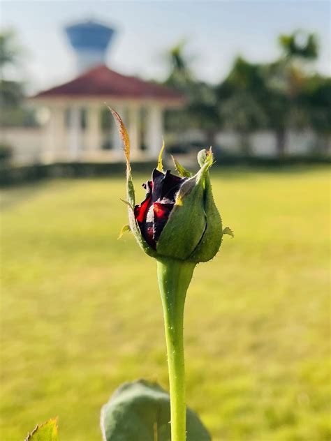 Vijay IAS on Twitter: "Pleasant morning with these beautiful guests