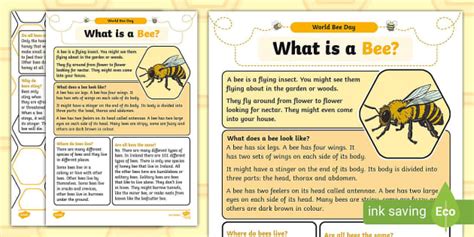 What Is A Bee Reading Comprehension Twinkl