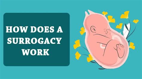 How Does A Surrogacy Work Actual Process Step By Step