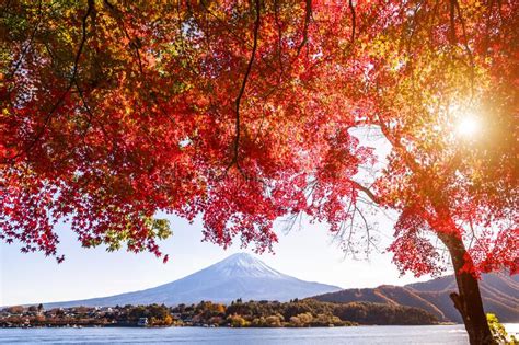 Mt Fuji In Autumn On Sunrise At Lake Kawaguchiko Japan Stock Image