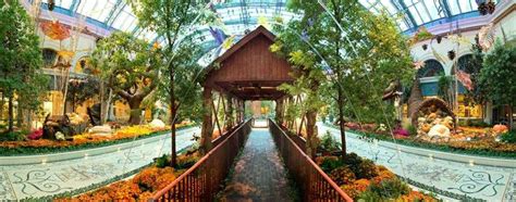 Bellagio Conservatory And Botanical Gardens Las Vegas Nevada Usa