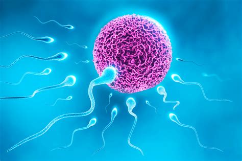 Fertility Breakthrough The Natural Infertility Treatment That Is As Effective As Ivf