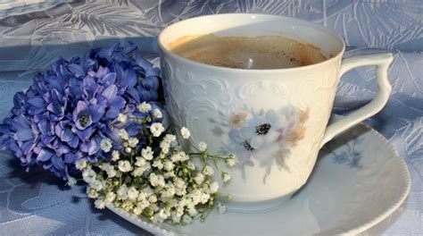 Free Photo Coffee And Flowers Blooming Coffee Cup Free Download