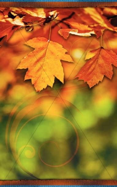 Autumn Leaves Church Bulletin Cover Sharefaith Media