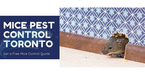 When it comes to pest control, who is financially responsible? #Pest #control has been more effective, thanks to the ...