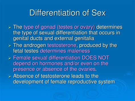 Ppt Development Of Genital System Powerpoint Presentation Free