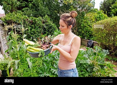 Young Woman In Her Garden Allotment With Freshly Harvested Vegetables