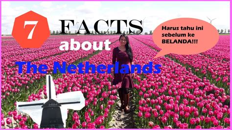 fakta tentang belanda [7 facts about the netherlands] youtube