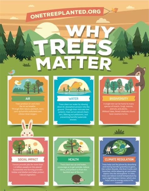 Why Plant Trees One Tree Planted Graphic Design Infographic