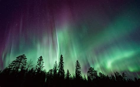 Wallpaper Northern Lights Forest Aurora Borealis 4k 8k Nature