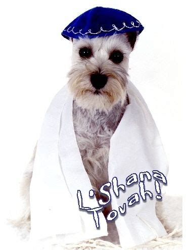 Sweet jewish new year card greeting cards: Pet Jewish New Year Cards Dog Rosh Hashanah Schnauzer ...