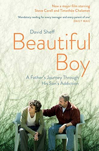 Beautiful Boy A Fathers Journey Through His Sons Addiction English