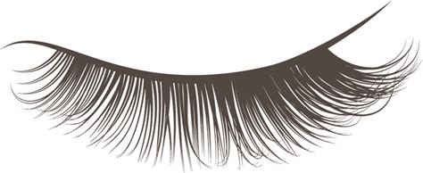 Realistic Eyelashes Png Download Image Png All Png All