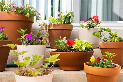 What You Need To Know To Start A Container Garden Trendradars