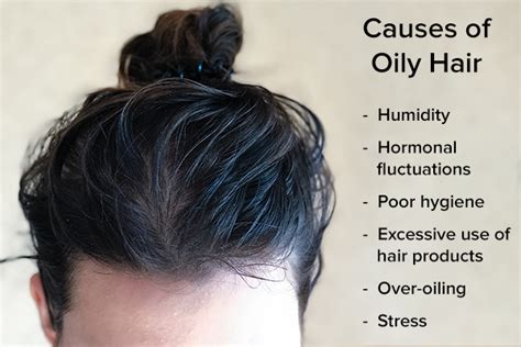Oily Hair Remedies Navtarang