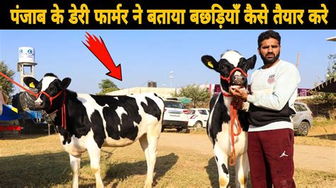 बछय क कस तयर कर Dairy farmer of Punjab told how to prepare
