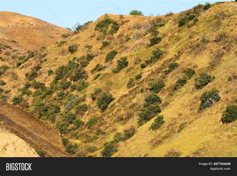 Dry Grasslands During Image And Photo Free Trial Bigstock
