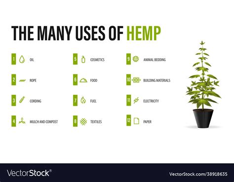 Many Uses Hemp White Poster Royalty Free Vector Image