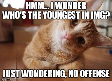 Curious Question Cat Imgflip