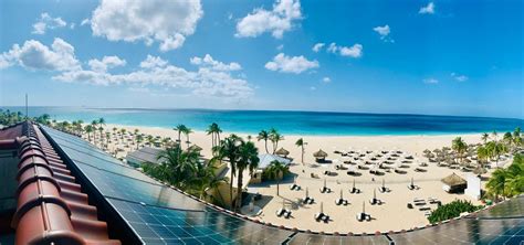 l hotel più ecologico del mondo è il bucuti and tara beach resort di aruba bucuti and tara beach