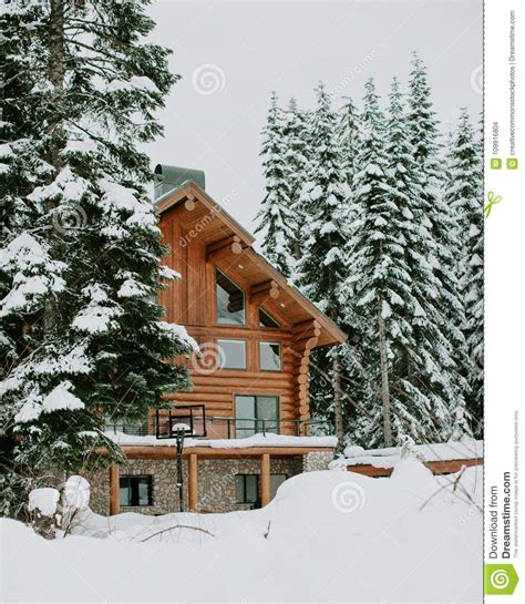 Photography Of Brown House Surrounded By Trees Covered By Snow Picture