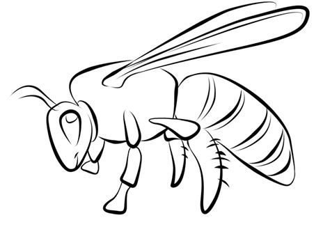 › cartoon bees pictures free printable. kleurplaten dieren: bijen kleurplaten tekeningen dieren