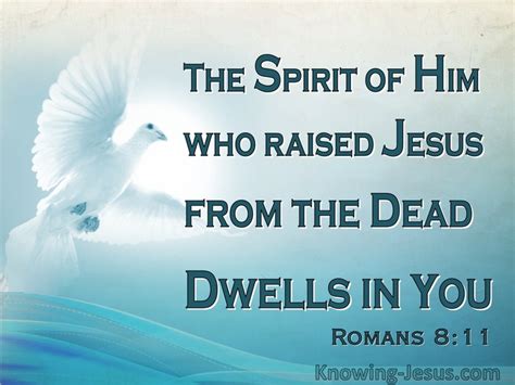 16 Bible Verses About Indwelling Of The Holy Spirit