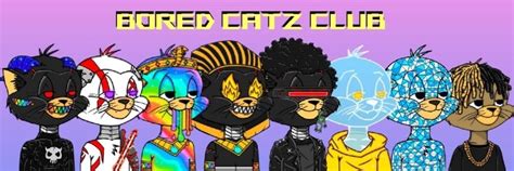 Bored Catz Club Official Collection Opensea