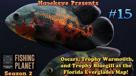 Fishing Planet S2 Ep 15 Oscars Trophy Warmouth And Trophy Bluegill