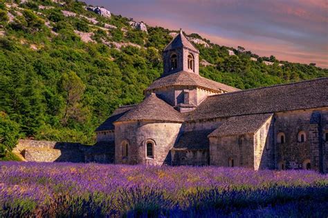 Lavender Route Small Group Full Day Tour From Avignon
