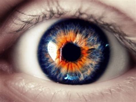 Colors Orange And Blue By Eva Eye Art Eye Color Facts Fantasy Make Up