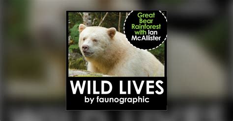 Ian Mcallisters Great Bear Rainforest Wild Lives By Faunographic