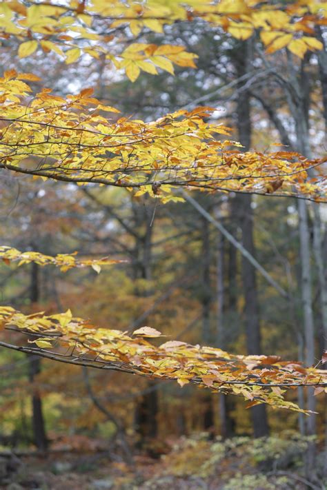 Life's Fragility — Grace and Mercy