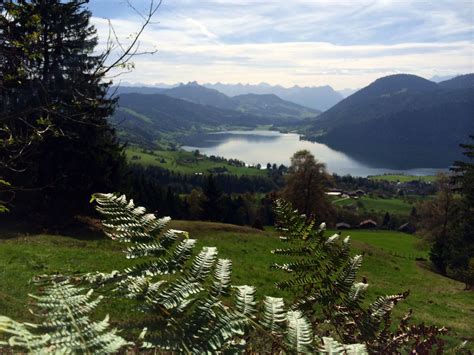 Aegerisee Switzerland Natural Landmarks Switzerland Views
