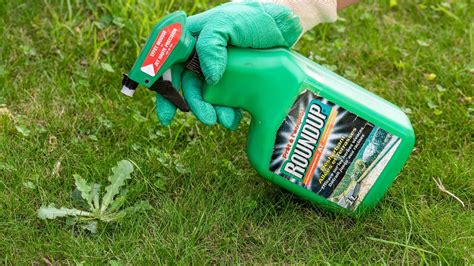 Roundup A Glyphosate Based Herbicide