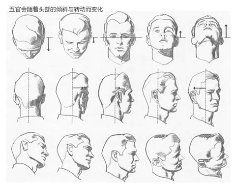 Pin By Vincenchan On Headandchest Drawing The Human Head Drawing Heads