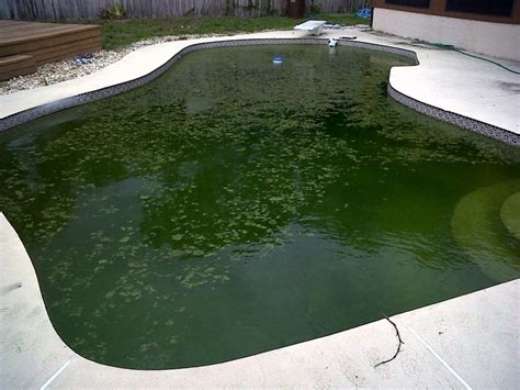 Fix A Green Pool In 5 Easy Steps Get Rid Of Pool Algae