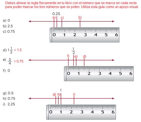 Catálogo de libros de educación básica. Paco El Chato Libro De Matematicas 6 Grado Con Respuestas ...
