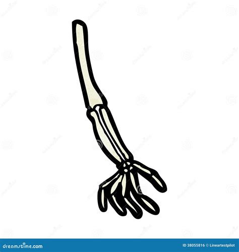 Cartoon Skeleton Arm Stock Vector Illustration Of Cartoon 38055816