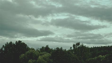 Free Images Cloudy Dark Clouds Environment Forest Gloomy Idyllic