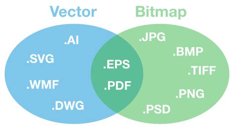 Bitmap And Vector Graphics At Collection Of Bitmap