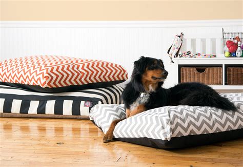 Big Sale Snuggle And Snooze Dog Beds Youll Love In 2021 Wayfair
