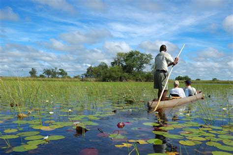 The Best Time To Visit Botswana