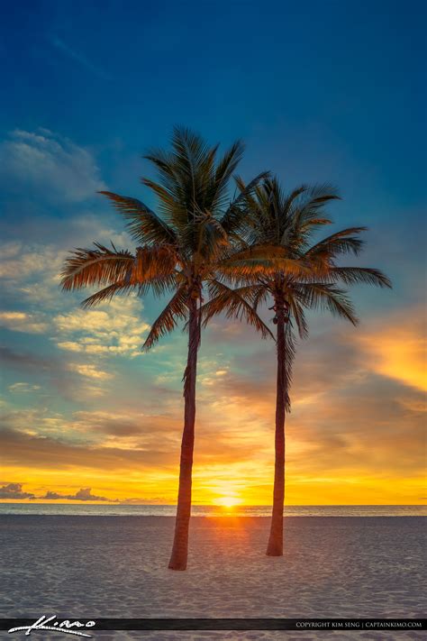 Two Coconut Palm Tree Sunrise At Beach Royal Stock Photo